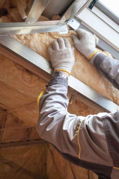 Best Energy-efficient Insulation  in New Richmond, WI