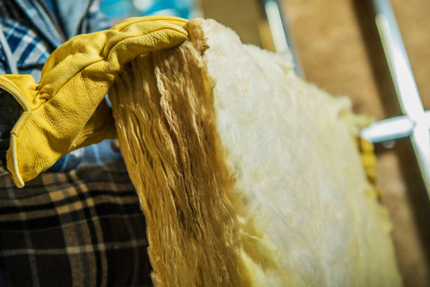 Best Insulation Inspection Services  in New Richmond, WI