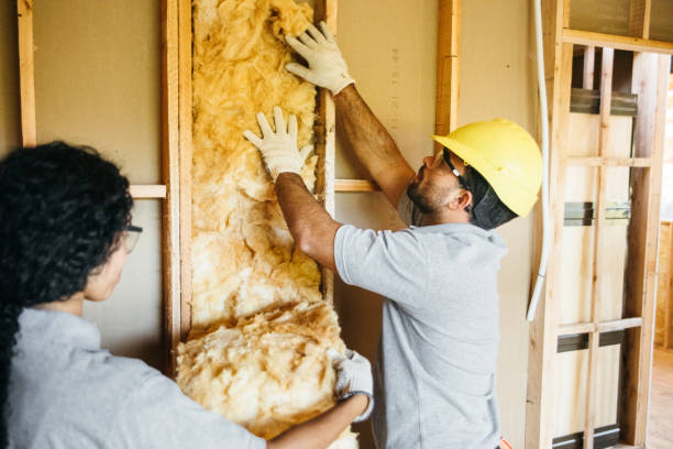 Best Insulation Contractors for Homes  in New Richmond, WI