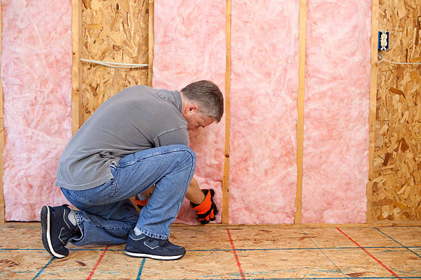 Best Commercial Insulation Contractor  in New Richmond, WI