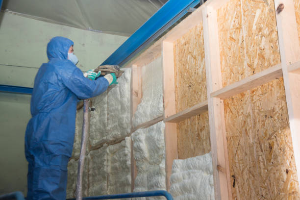 Best Spray Foam Insulation  in New Richmond, WI